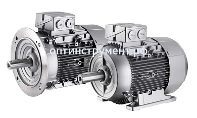 4043103004 Электродвигатель 1LG4206-2AA60-Z  1вал